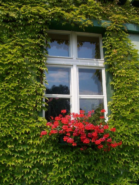 3 Sterne Hotel Frankfurt-Oder Zur Alten Oder Frankfurt  Ngoại thất bức ảnh